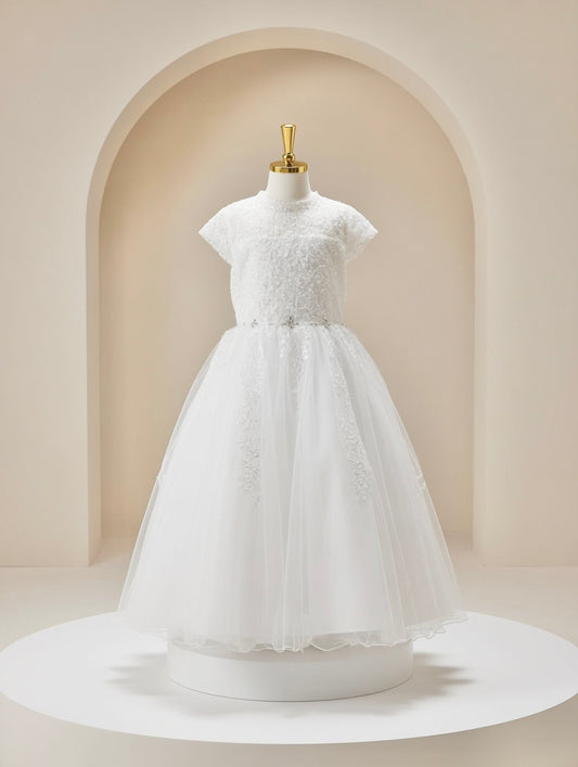 Angel Signature Collection UF24072